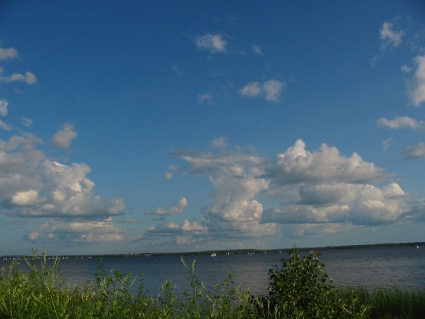 608x456 pixels (47K)